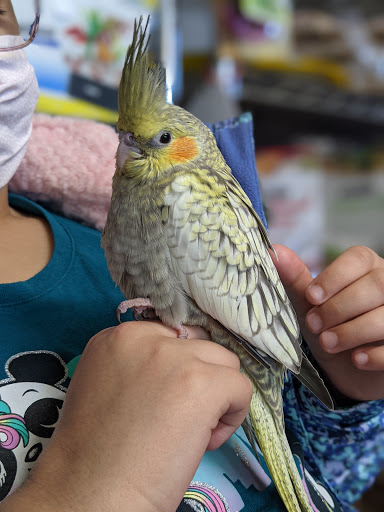 Pet Store «Mike Pet Center LLC», reviews and photos, 133 NJ-35, Neptune City, NJ 07753, USA