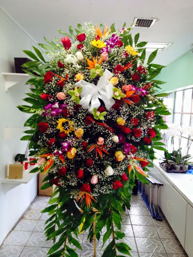 Florist «Primavera Florist Pedro», reviews and photos, 5510 W Flagler St, Coral Gables, FL 33134, USA