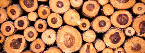 Magasin de bois de chauffage Bois du Centre - Exploitation forestière, bois de chauffage et granulés Salbris