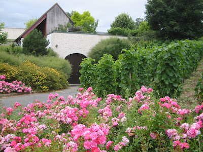 Domaine Thomas et Fils à Verdigny