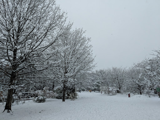 Park «Crispus Attucks Park», reviews and photos, 23 U St NW, Washington, DC 20001, USA