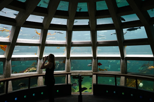 Seattle Aquarium