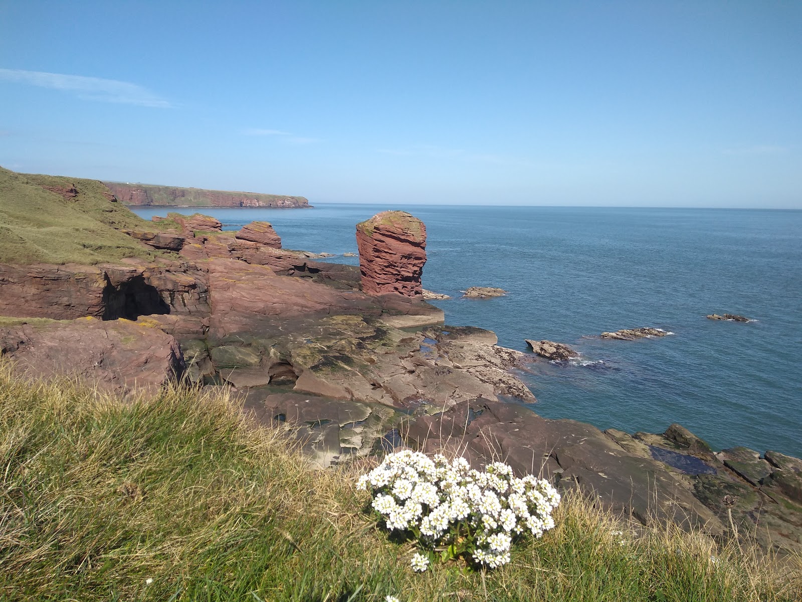 Valokuva Seaton Cliffs Beachista. pinnalla kivet:n kanssa