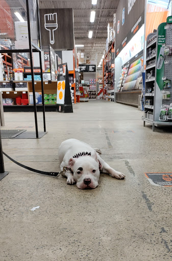 Home Improvement Store «The Home Depot», reviews and photos, 310 N White Horse Pike #1, Lawnside, NJ 08045, USA