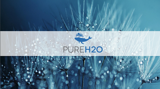 Eco Pure H2O
