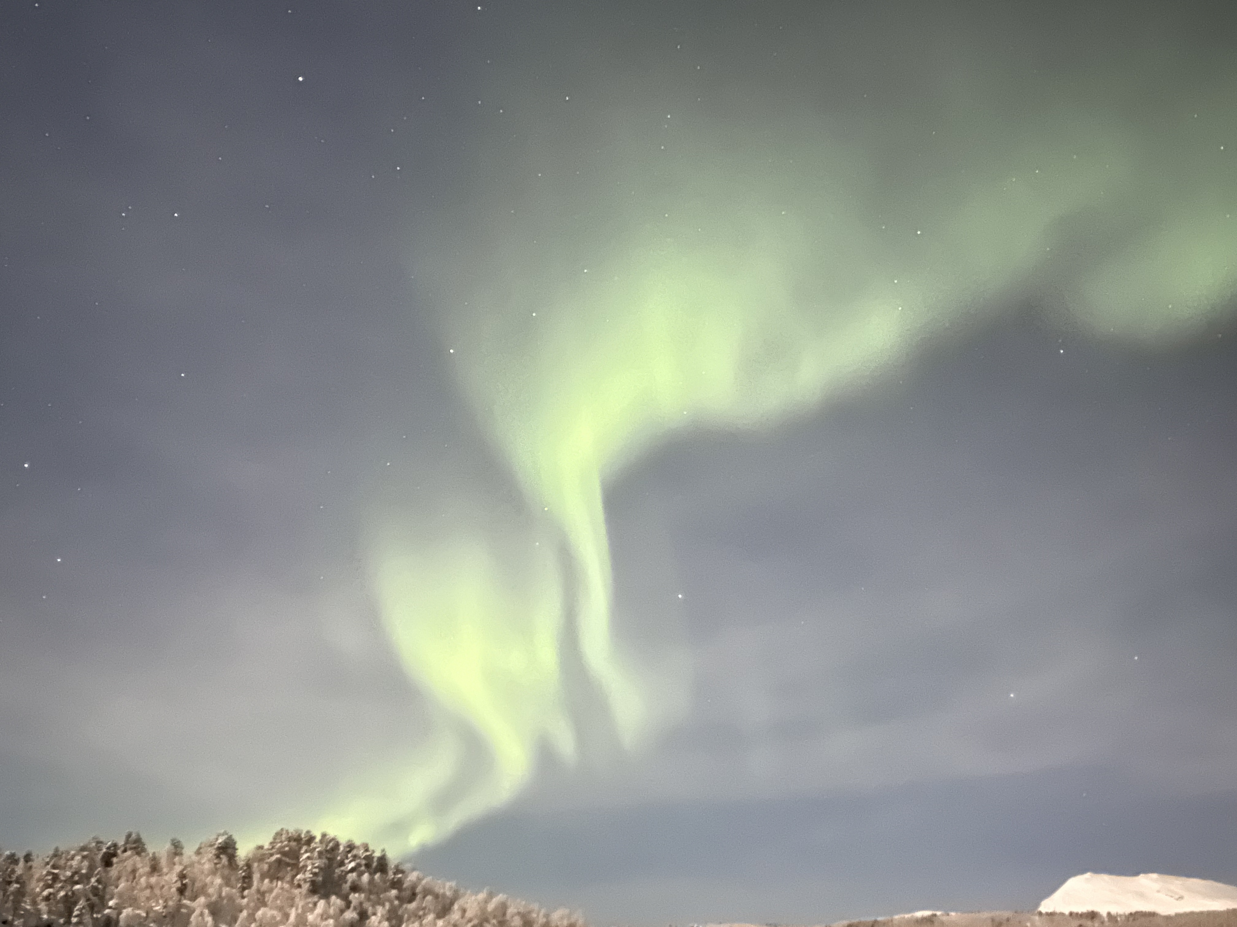 Photo n° 5 de l'avis de FIORELLA.. fait le 15/02/2023 à 16:10