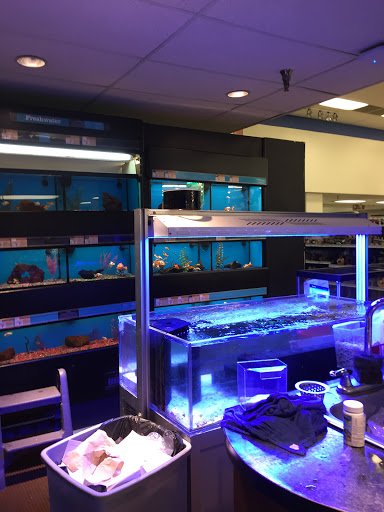 Pet Supply Store «Petco Animal Supplies», reviews and photos, 3468 Poplar Ave, Memphis, TN 38111, USA