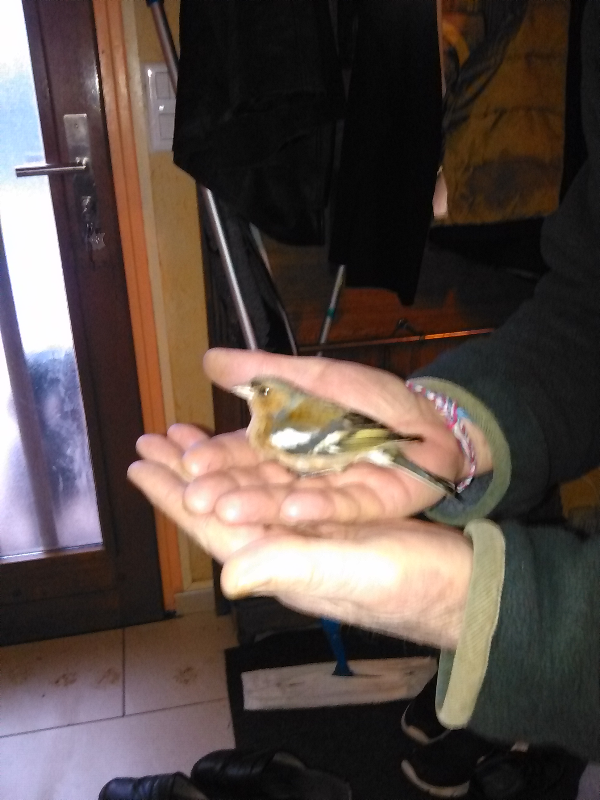Photo n° 1 de l'avis de Jean.i fait le 25/01/2020 à 06:32