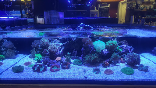 Pet Store «Reeftop Aquariums-Pet Boutique», reviews and photos, 13250 SW 87th Ave, Miami, FL 33176, USA