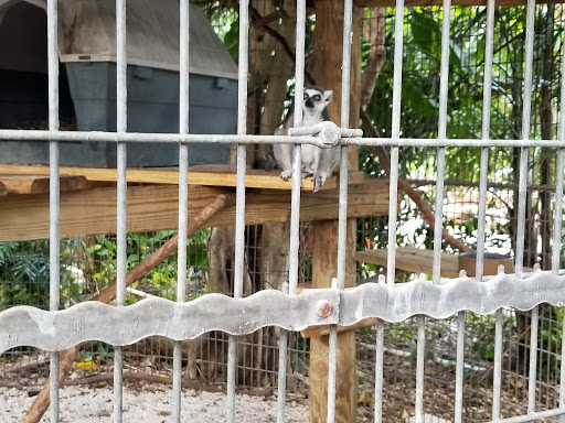 Tourist Attraction «Walton House», reviews and photos, 28501 SW 187th Ave, Homestead, FL 33030, USA