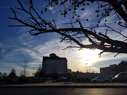 Grocery Store «Food Lion», reviews and photos, 191 St Patricks Dr, Waldorf, MD 20603, USA