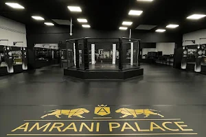 Amrani Palace - Martial Arts Academy image