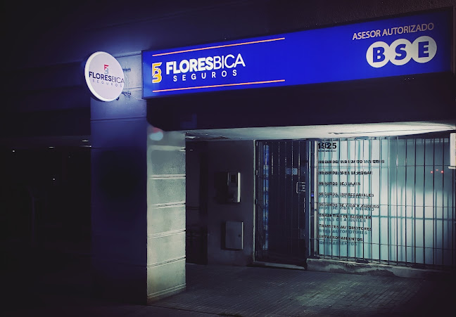 Flores Bica Seguros