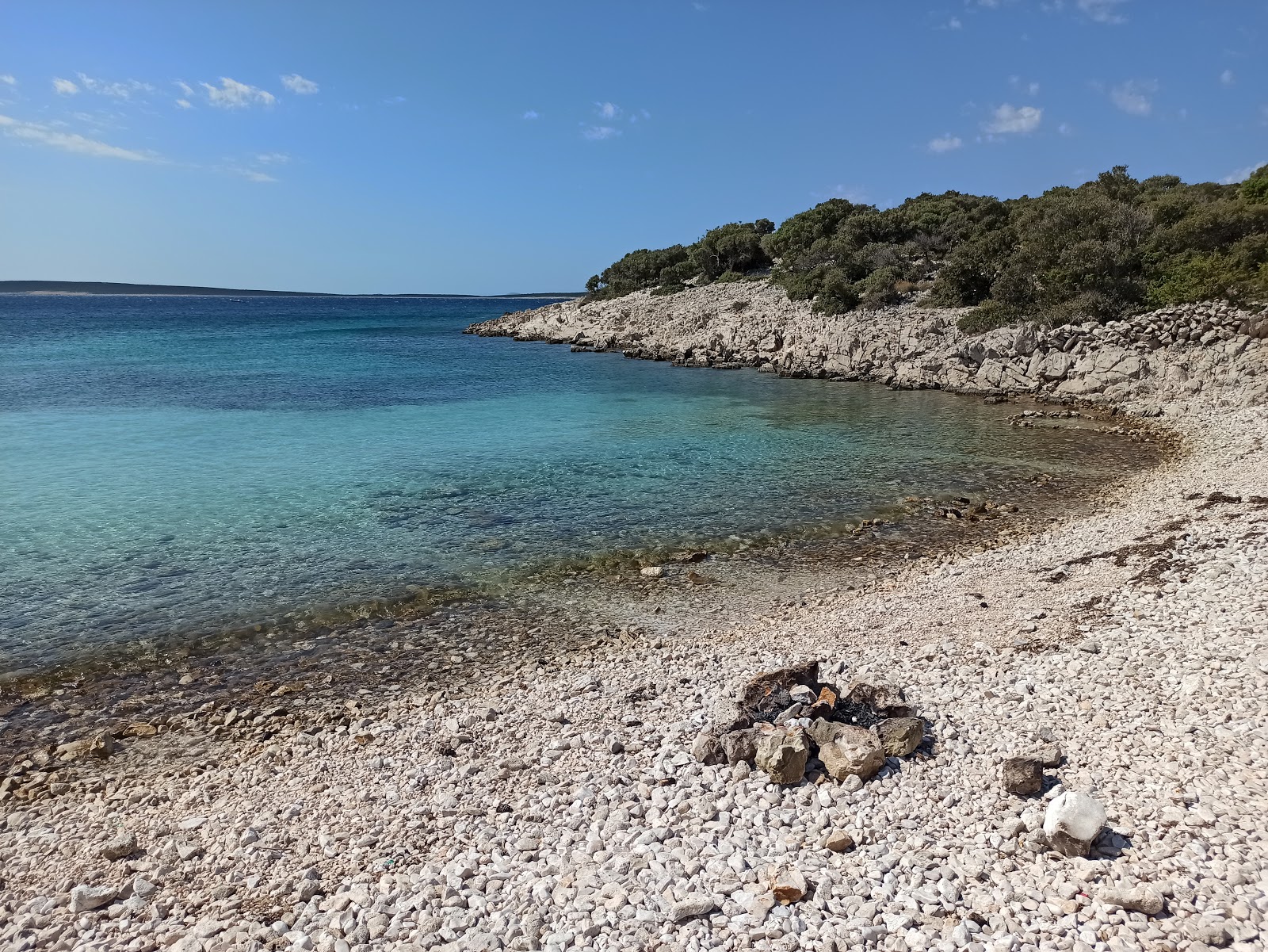 Foto af Marlin beach beliggende i naturområde