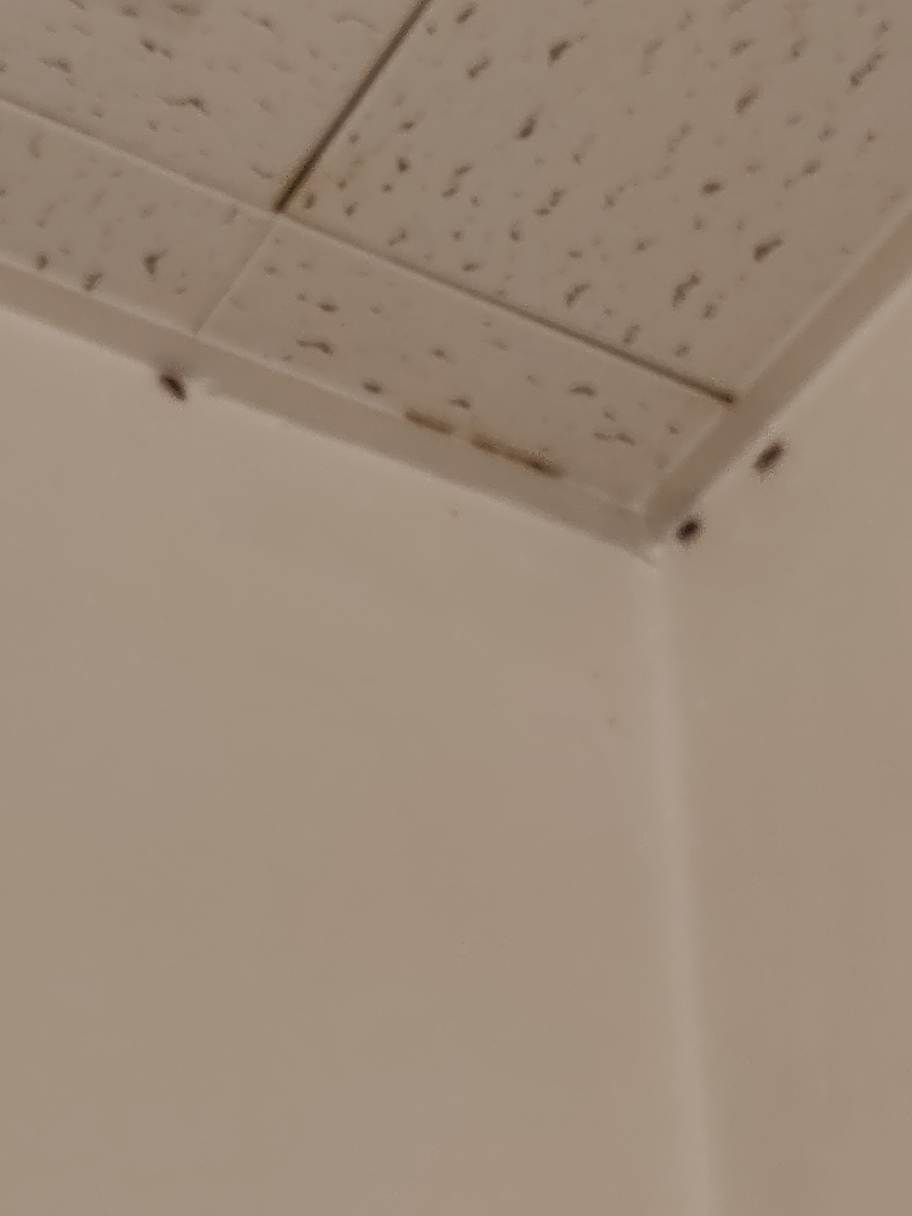 Photo n° 5 de l'avis de adrien.a fait le 08/09/2018 à 15:32