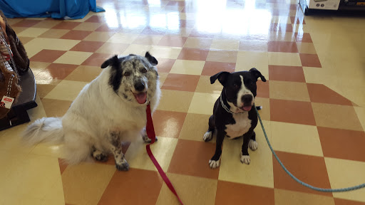 Pet Supply Store «Petco Animal Supplies», reviews and photos, 8404 Eager Rd b, Brentwood, MO 63144, USA