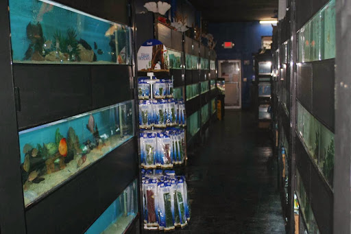 Pet Store «Aquarium Paradise», reviews and photos, 234 Washington Ave, Belleville, NJ 07109, USA