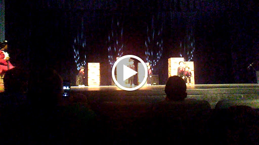 Performing Arts Theater «Theatre Dublin», reviews and photos, 314 Academy Ave, Dublin, GA 31021, USA