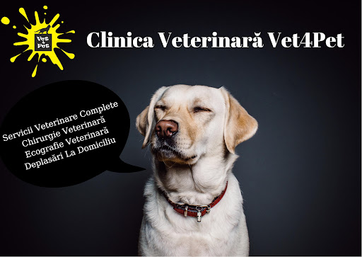 Clinica VET4PET