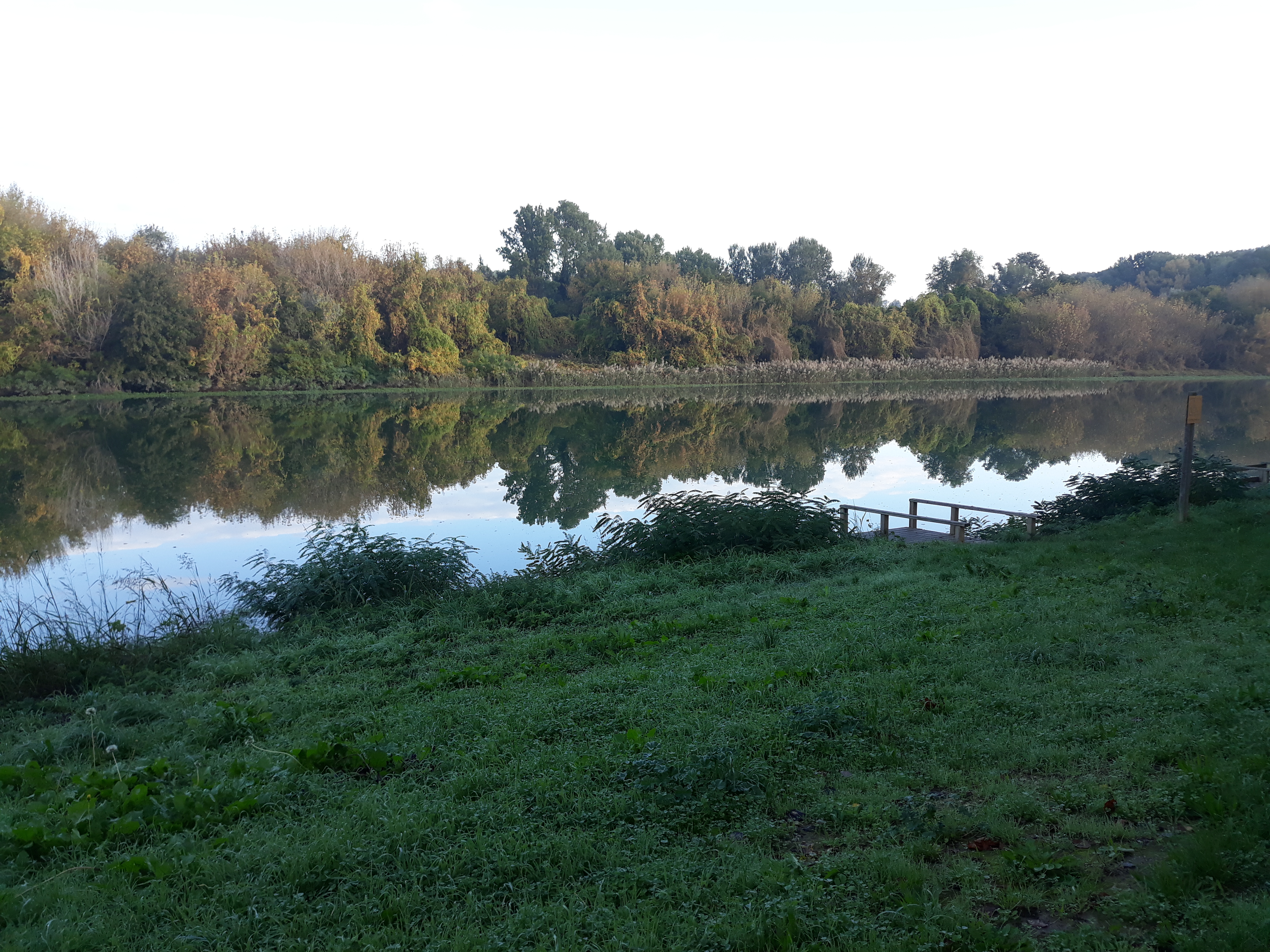 Photo n° 2 de l'avis de MG. fait le 30/10/2019 à 08:31