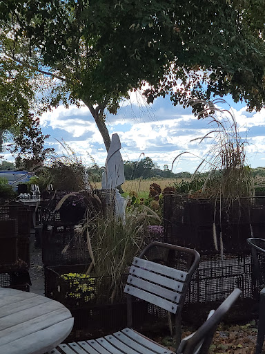 Winery «Sherwood House Vineyards», reviews and photos, 1291 Main Rd, Jamesport, NY 11947, USA