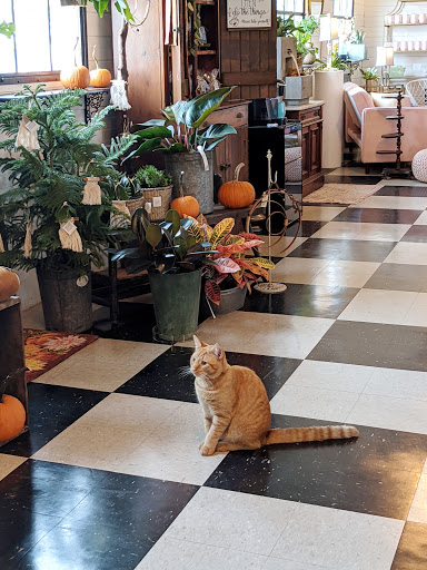 Florist «A Garden Party», reviews and photos, 295 Shirley Rd, Elmer, NJ 08318, USA