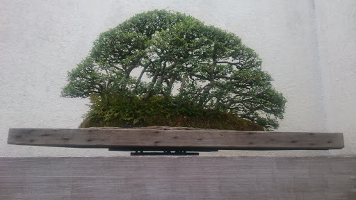 National Park «Kenilworth Park», reviews and photos, 1505 Ancostia Ave NE, Washington, DC 20019, USA