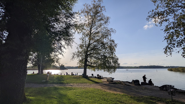 Rezensionen über Seekiosk Auslikon am Pfäffikersee in Uster - Kiosk