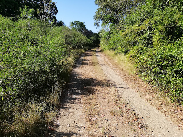 Punta Patiño by null