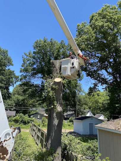 Quinn's Tree Service