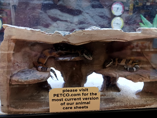 Pet Supply Store «Petco Animal Supplies», reviews and photos, 20825 I-30, Benton, AR 72015, USA