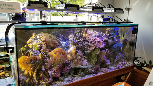 Tropical Fish Store «Aquarium Design Network», reviews and photos, 296 E Jericho Turnpike, Huntington Station, NY 11746, USA