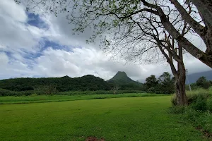 Maunawili Valley Neighborhood Park image