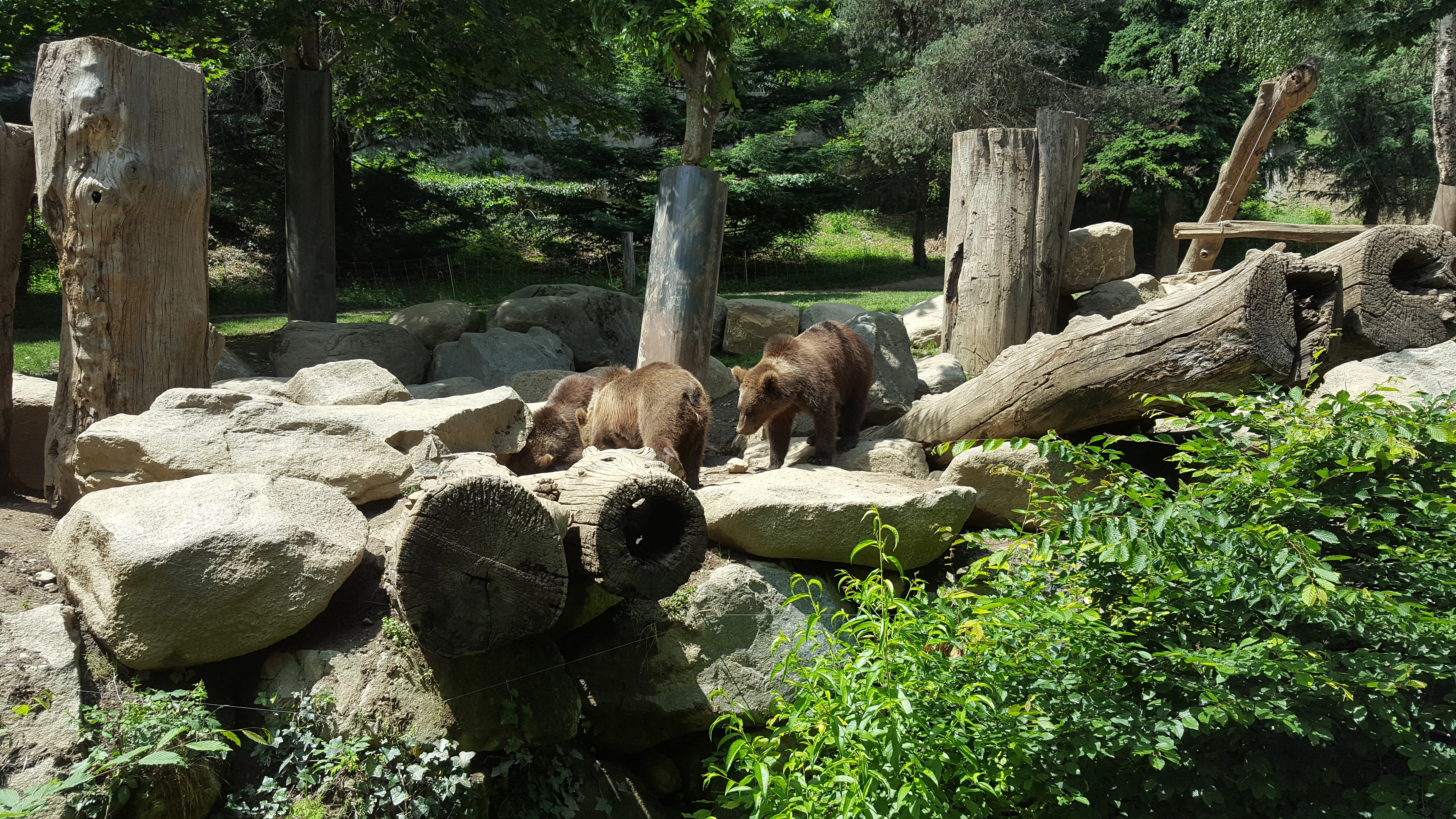 Photo n° 1 de l'avis de Sandra.o fait le 15/06/2017 à 07:55
