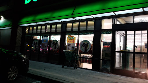 Dollar Store «Dollar Tree», reviews and photos, 250 Jericho Turnpike #80, Floral Park, NY 11001, USA
