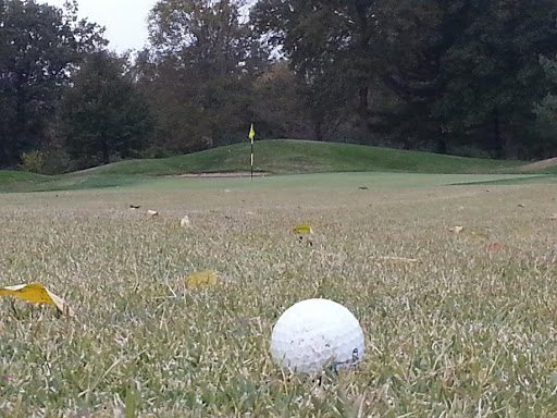 Golf Course «Spencer T Olin Golf Course», reviews and photos, 4701 College Ave, Alton, IL 62002, USA