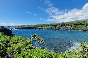 Waiʻānapanapa State Park image