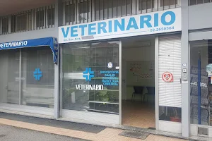 Ambulatorio Veterinario Vimodrone image