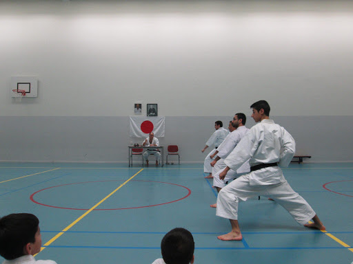 Karatelessen Rotterdam