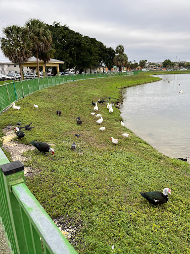 Park «McDonald Park», reviews and photos, 7505 W 12th Ave, Hialeah, FL 33014, USA