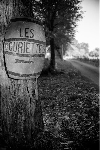 Domaine Les Bouriettes à Pomarède