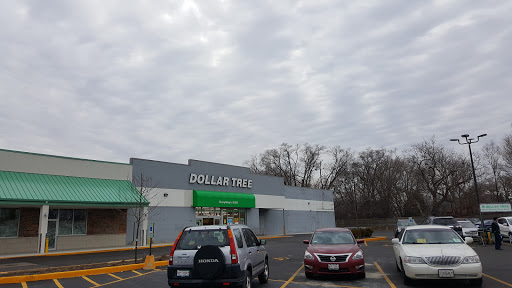 Dollar Store «Dollar Tree», reviews and photos, 1031 E Oakton St, Des Plaines, IL 60018, USA