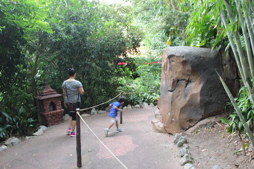 Tourist Attraction «Kali River Rapids», reviews and photos, Asia, Kissimmee, FL 34747, USA