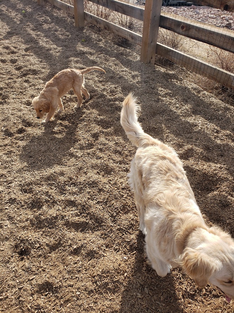 Belleview station dog park