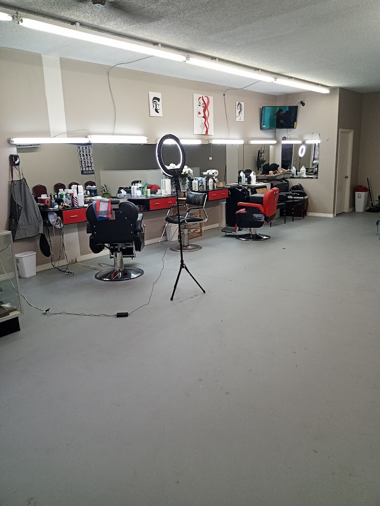 Barbería latina 72834