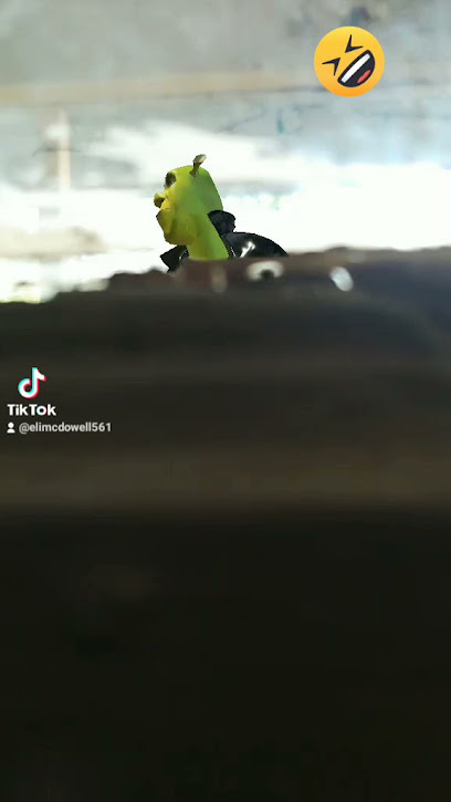 Waycross Social Security Office