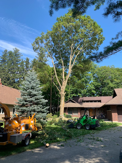 High Branch Tree Service (Meaford)