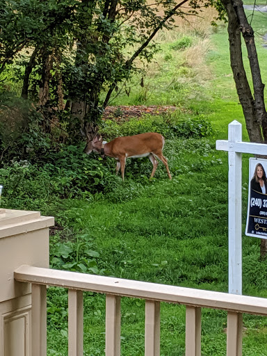 Golf Course «Hobbits Glen Golf Course», reviews and photos, 11130 Willow Bottom Dr, Columbia, MD 21044, USA