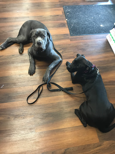 Pet Supply Store «Pet Valu», reviews and photos, 7705 Sawmill Rd, Dublin, OH 43016, USA