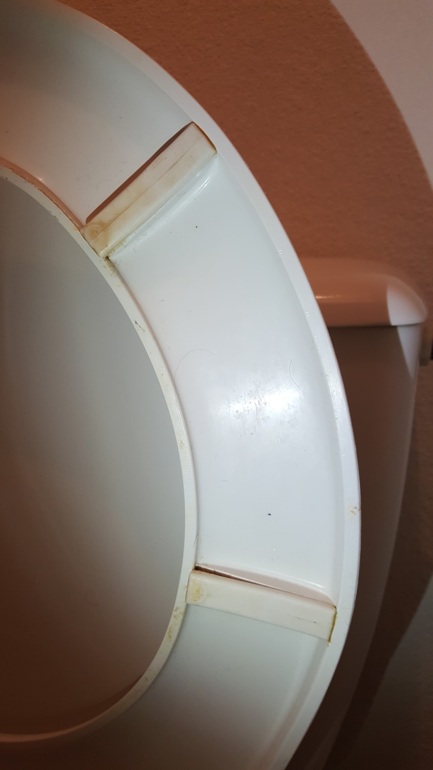 Photo n° 2 de l'avis de Aurore.u fait le 20/02/2017 à 13:30